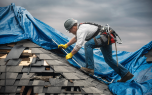 A roofer working on a roof, securing a large blue tarp over the shingles as a temporary protective covering